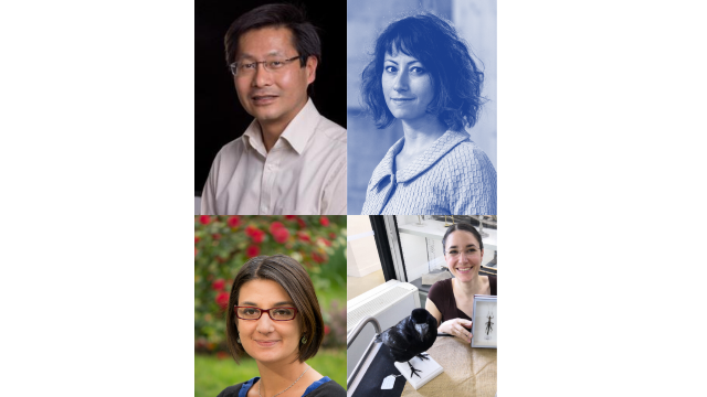 Assortiment de portraits pour l'été ! #2